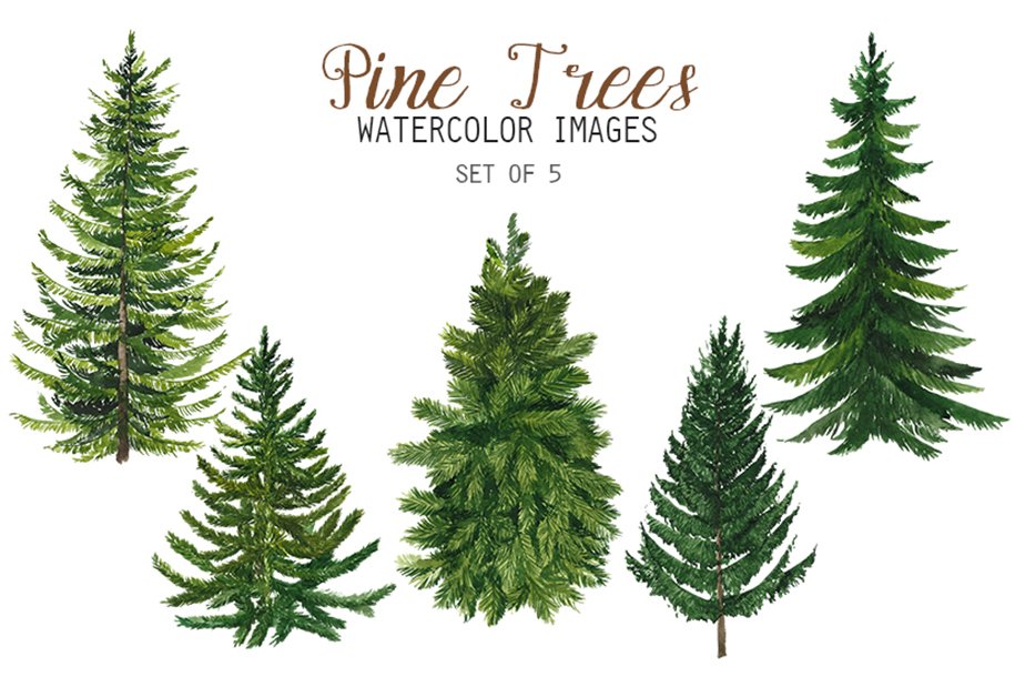 Pine trees watercolor images set of 5.