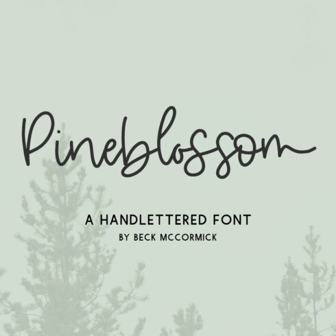 Pineblossom Script cover image.