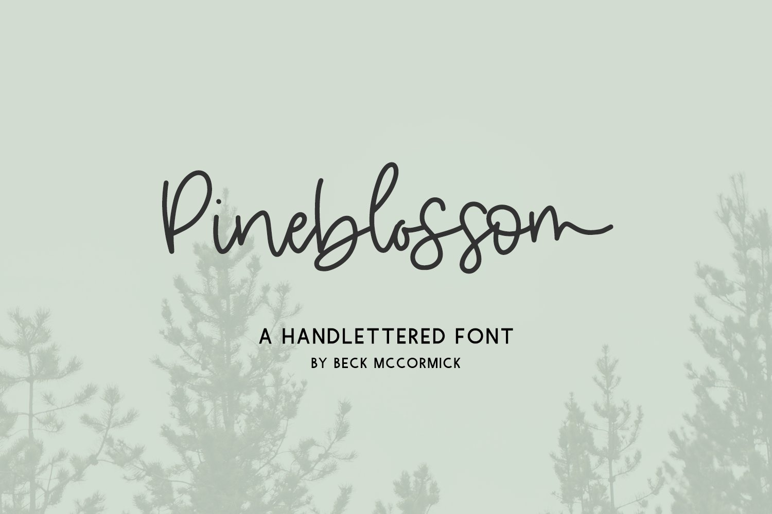 Pineblossom Script cover image.