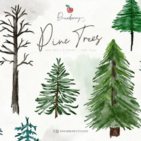 Winter Woodland Pine Trees CP109 cover image.