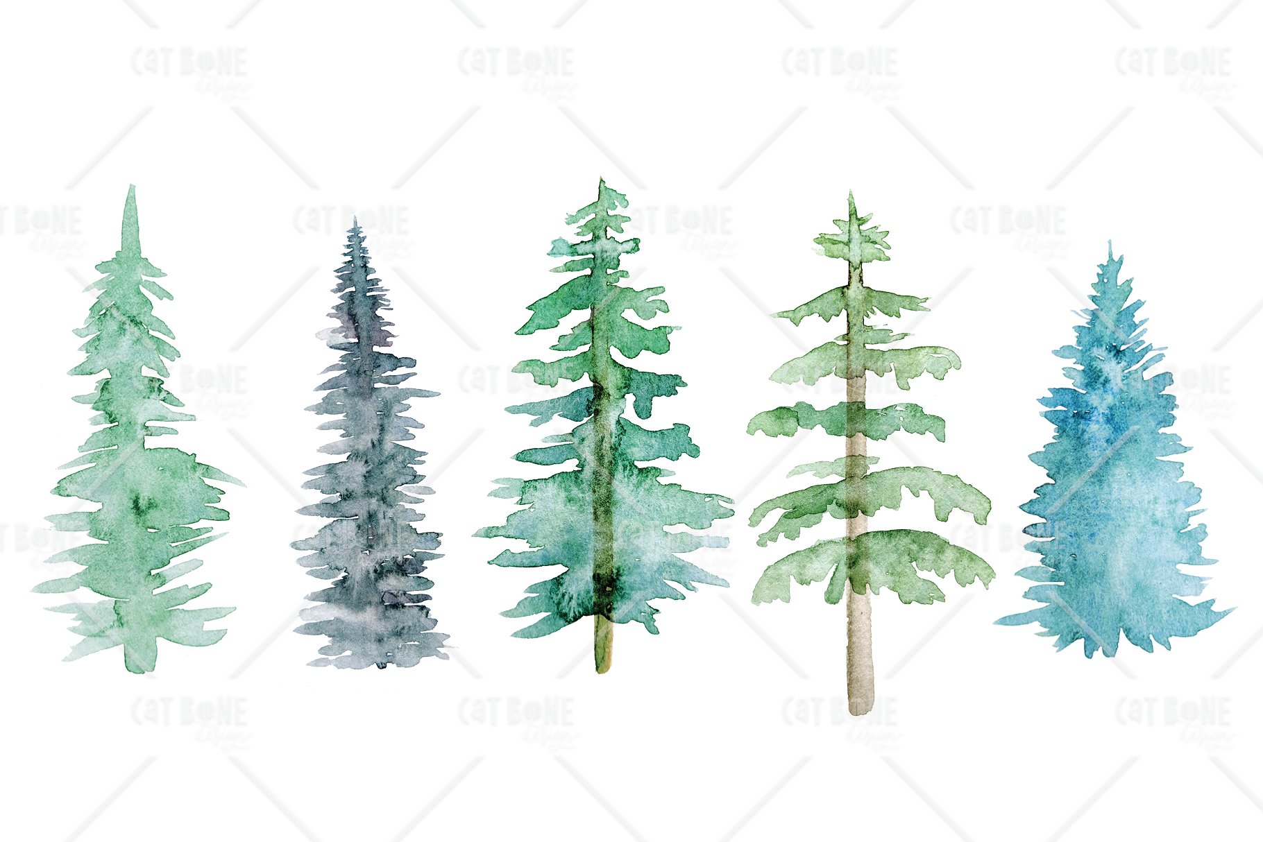 TIMBER Box Seal Template Printable, Watercolor Pine Tree Branding