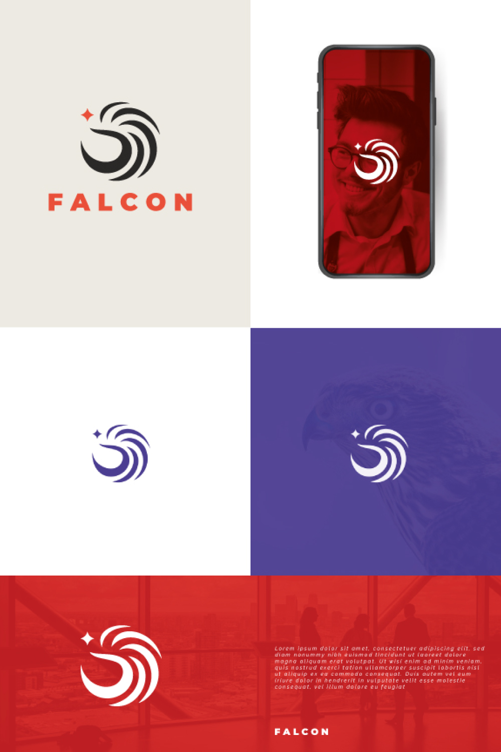 Falcon Logo pinterest preview image.
