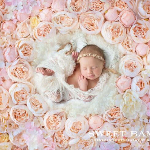 Digital Backdrop Newborn Photographycover image.