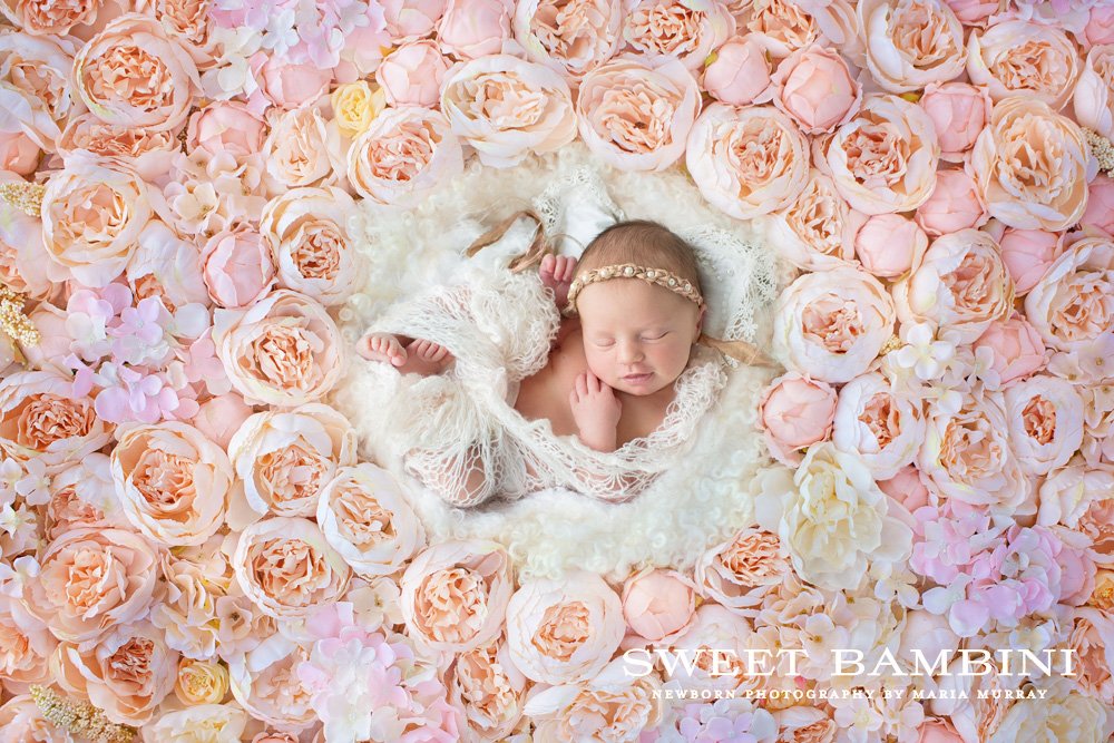 Digital Backdrop Newborn Photographycover image.