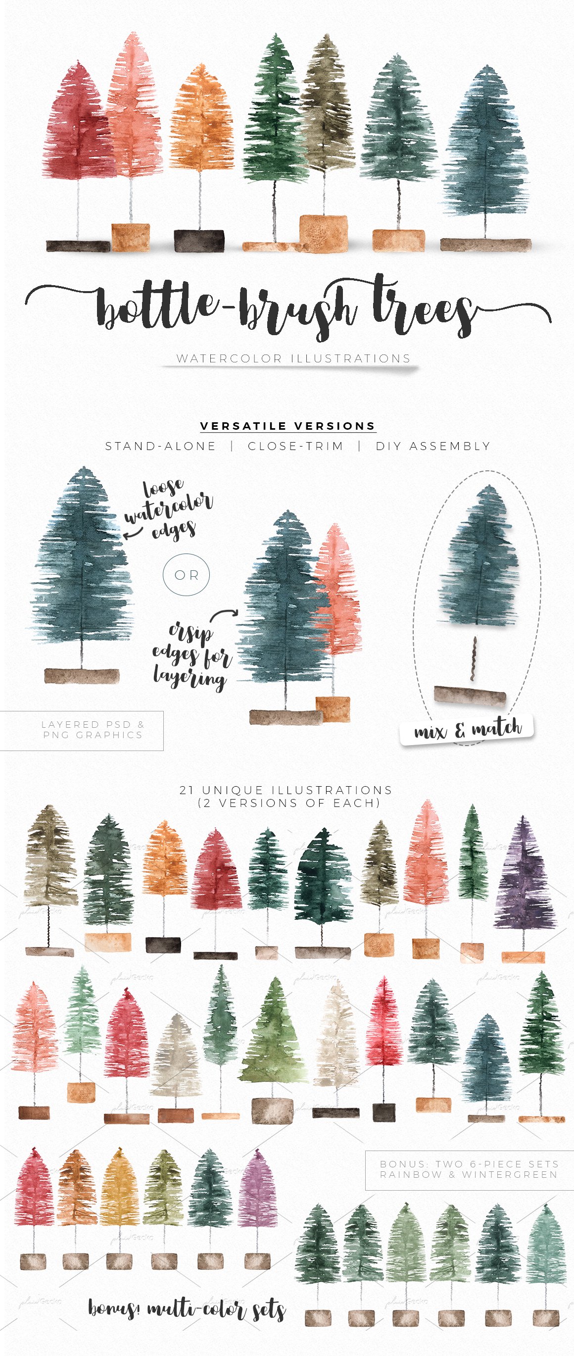 Watercolor bottlebrush trees cover image.