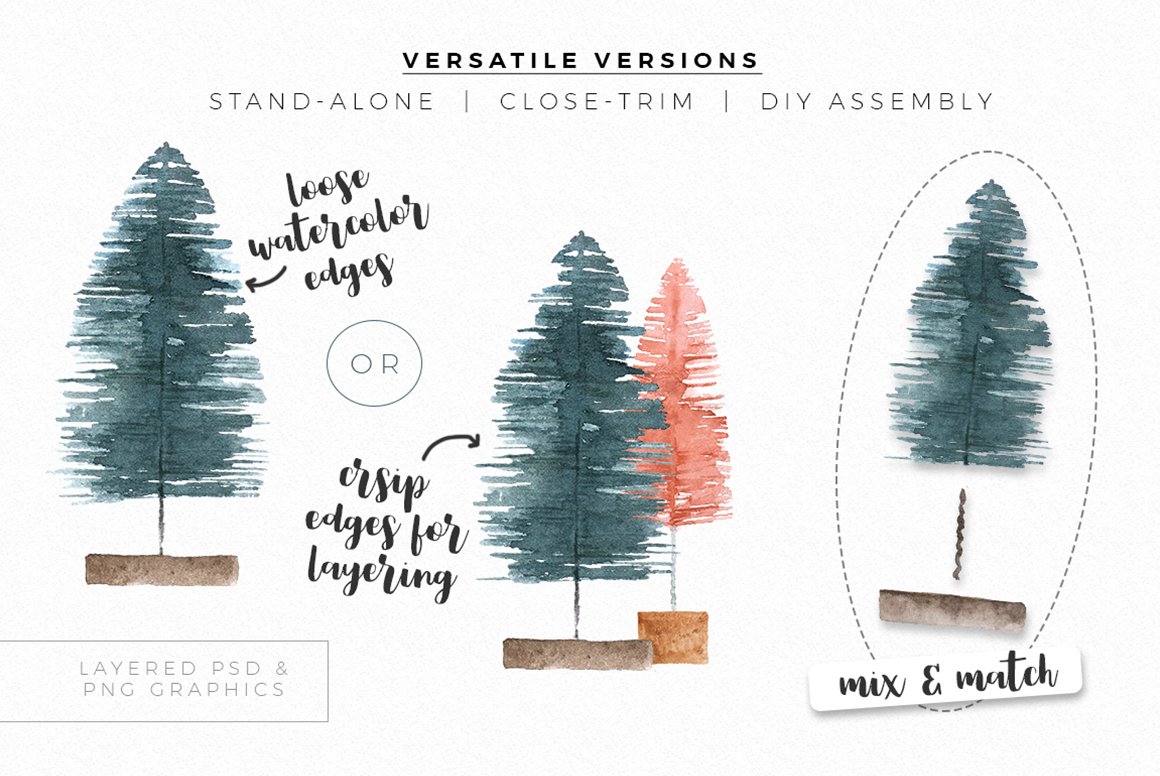 Three different types of trees with different colors.