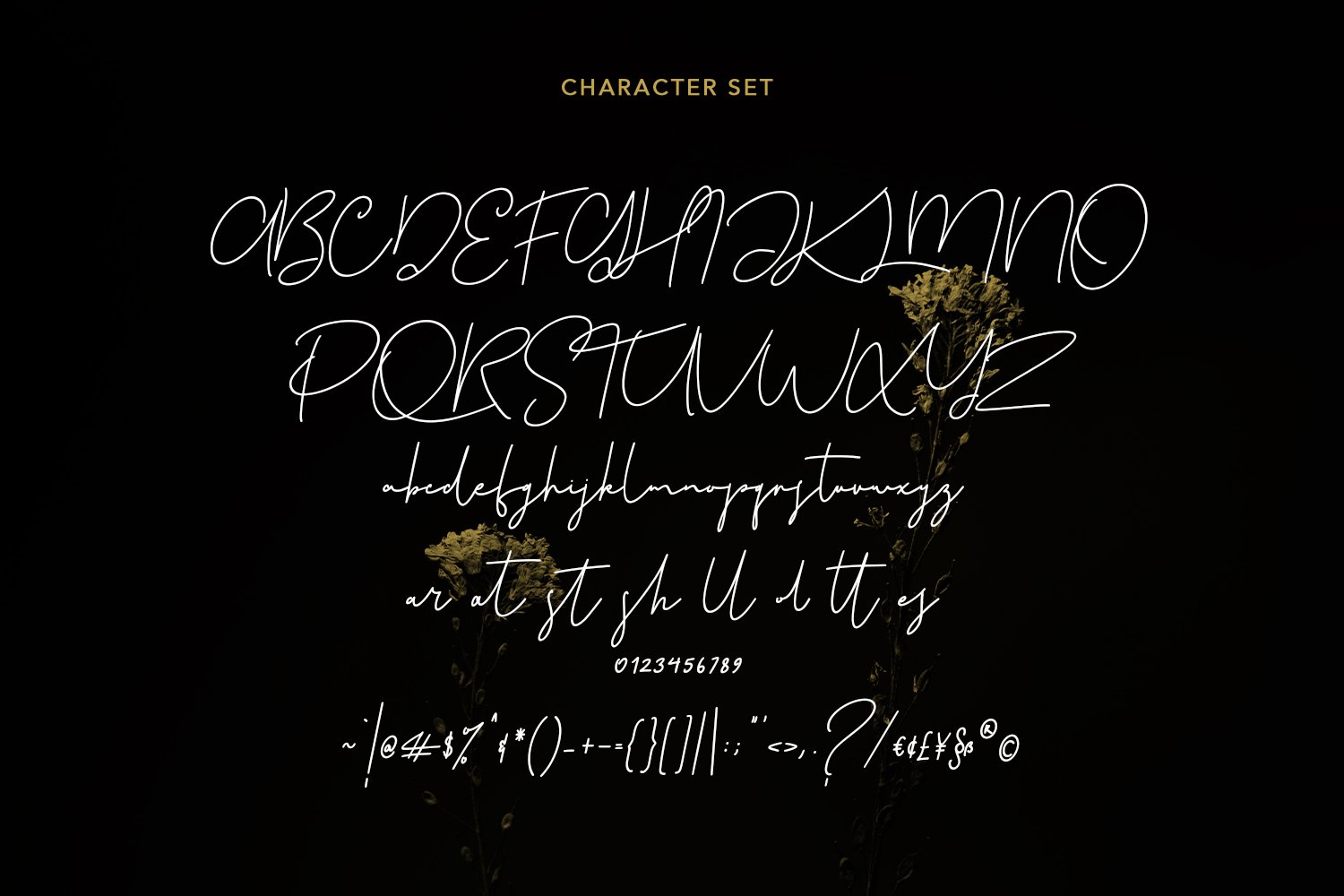 plastikcycle script font8 853