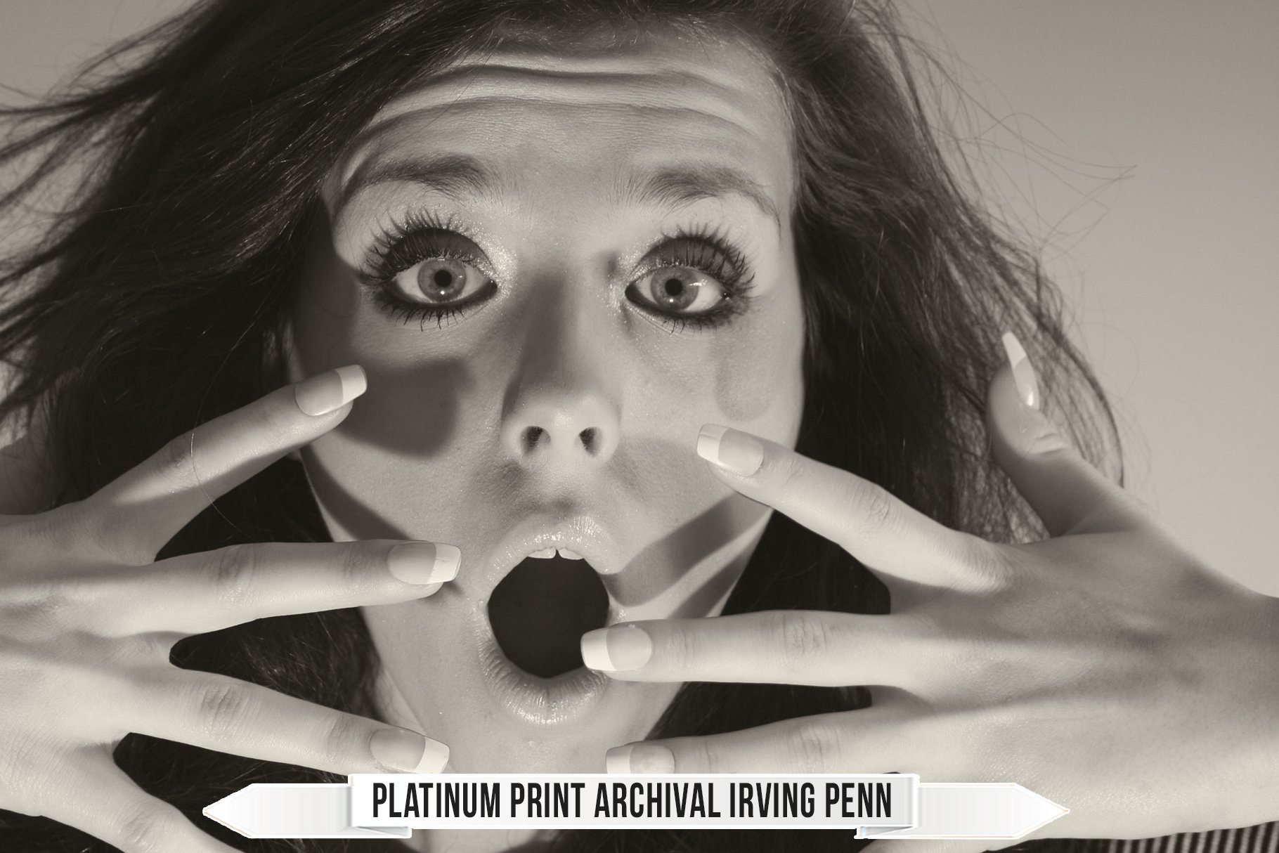 platinum print archival irving penn 30