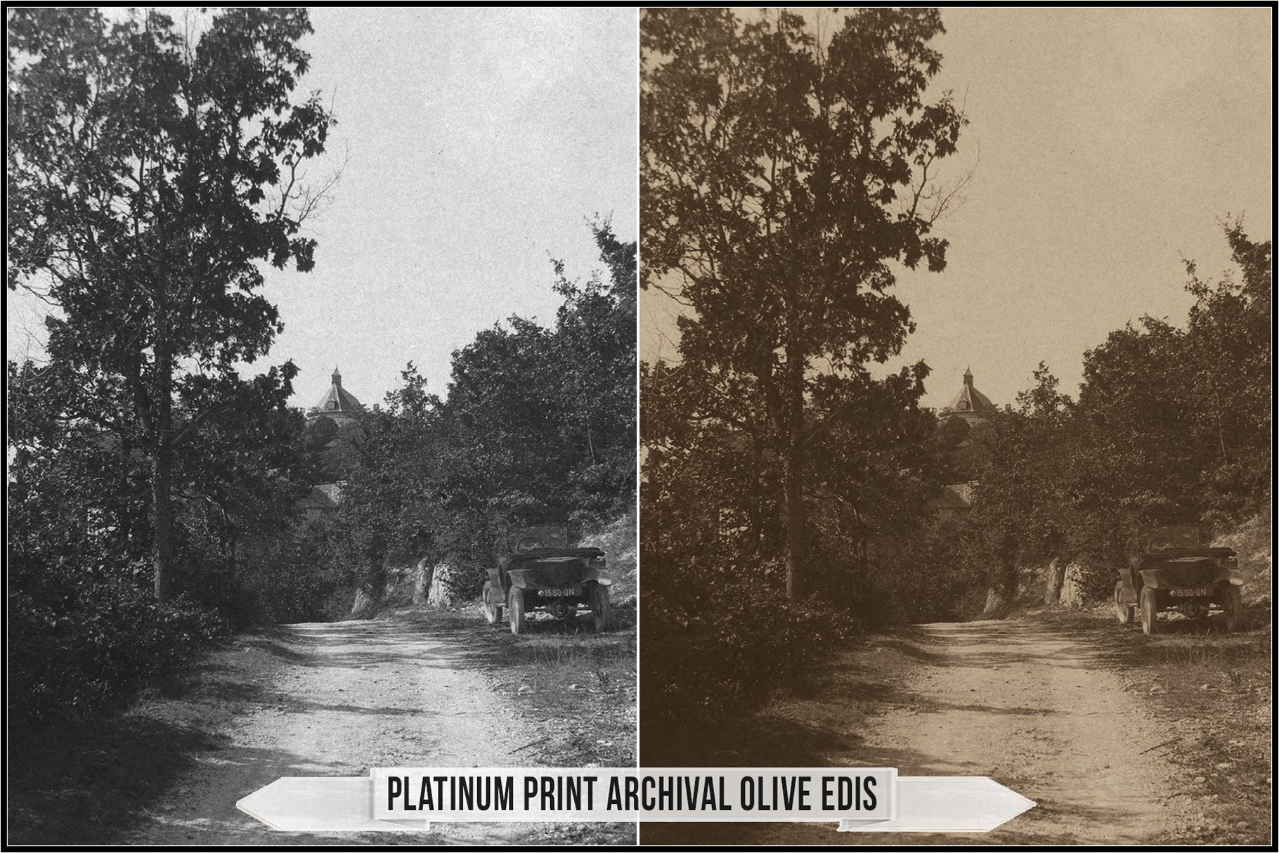 platinum print archival olive edis 605