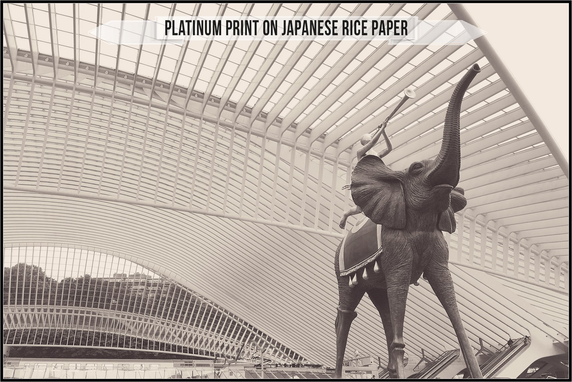 platinum print on japanese rice paper 640