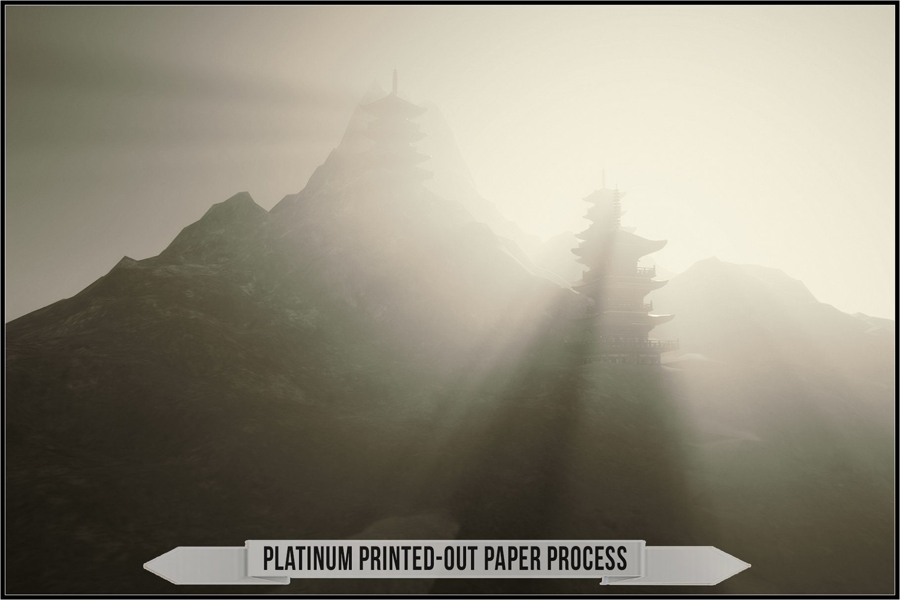 platinum printed out paper process 379