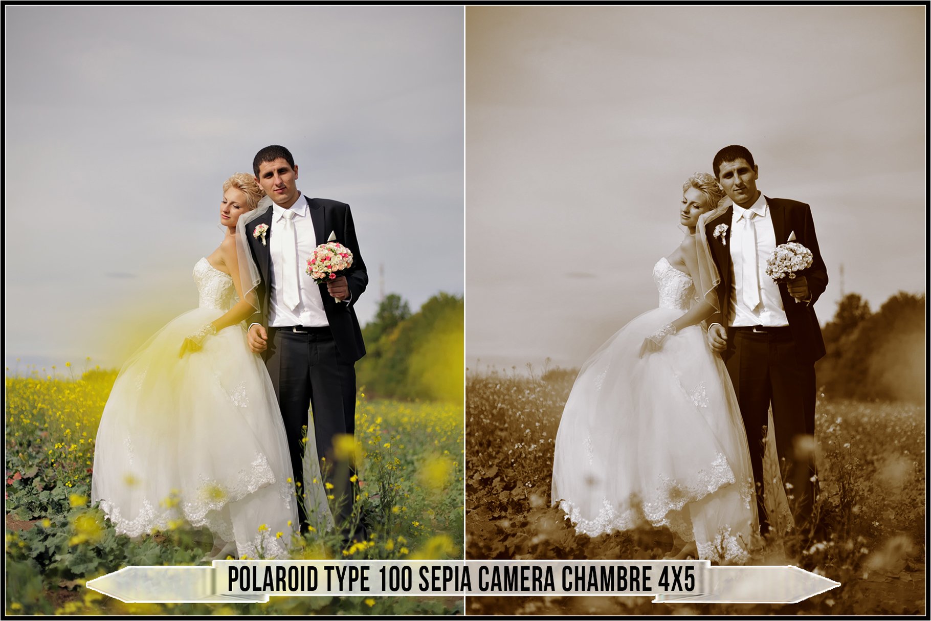 polaroid type 100 sepia camera chambre 4x5 524