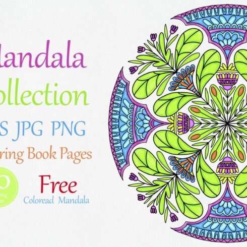 Folk Style Floral Mandala collectioncover image.