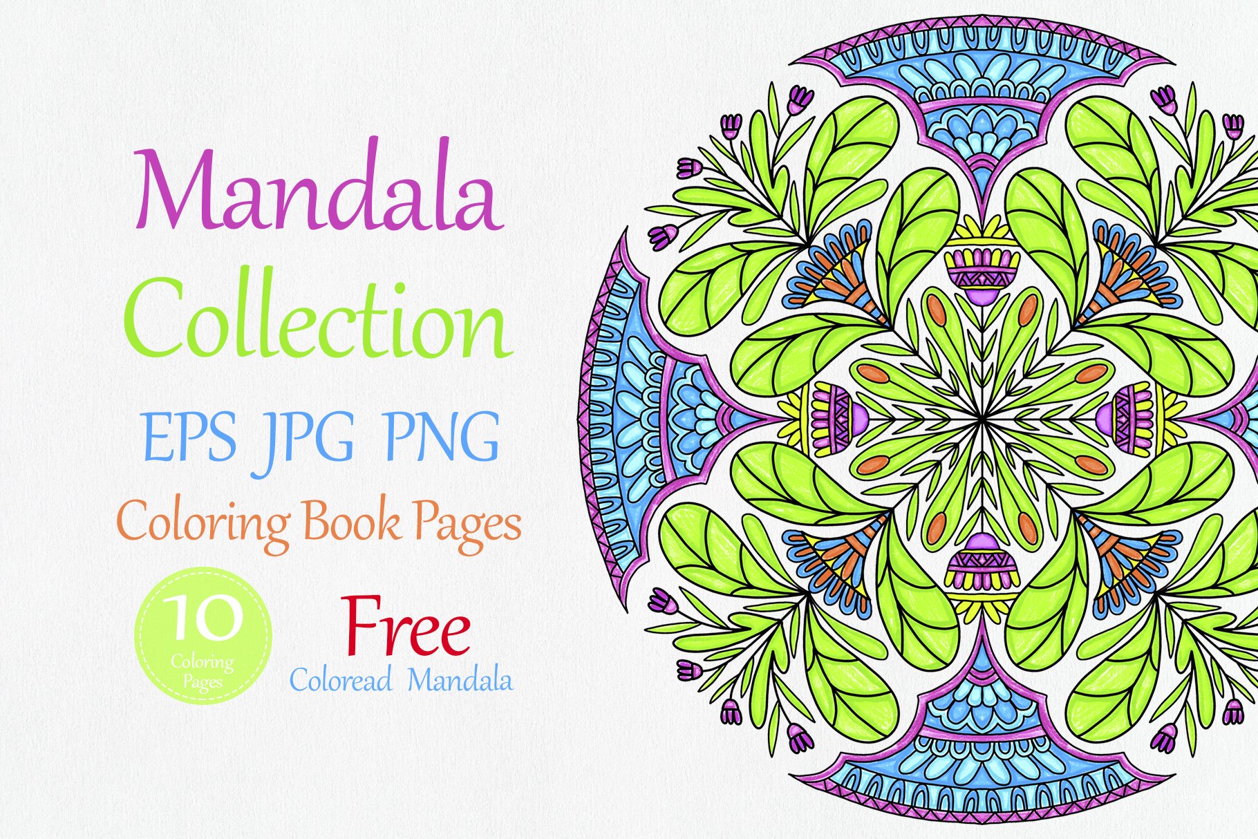 Folk Style Floral Mandala collectioncover image.