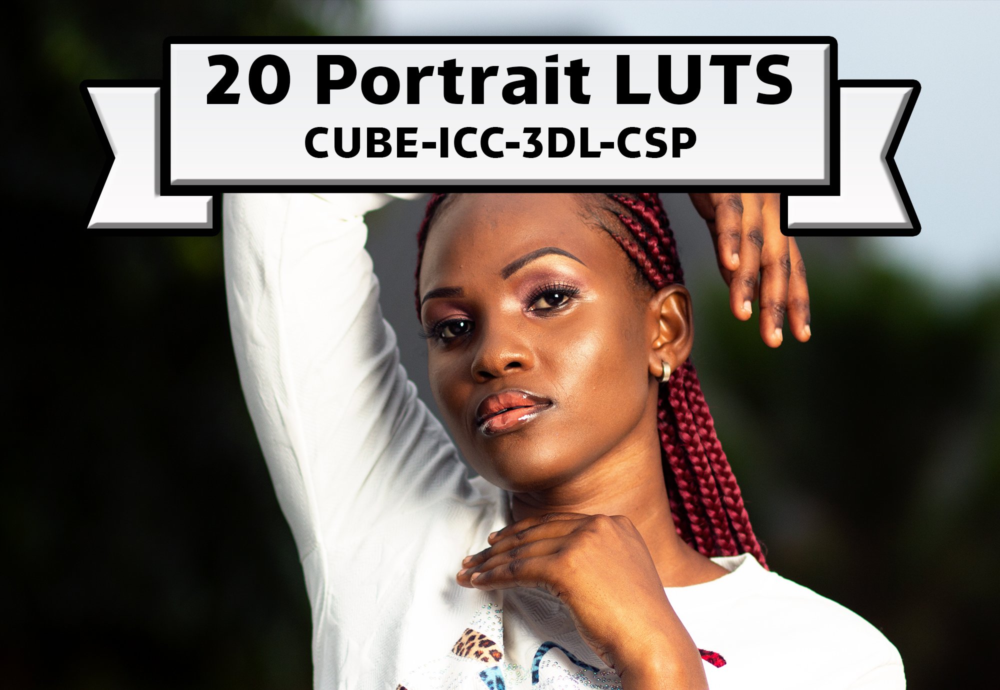 Portrait color grade photo filterpreview image.