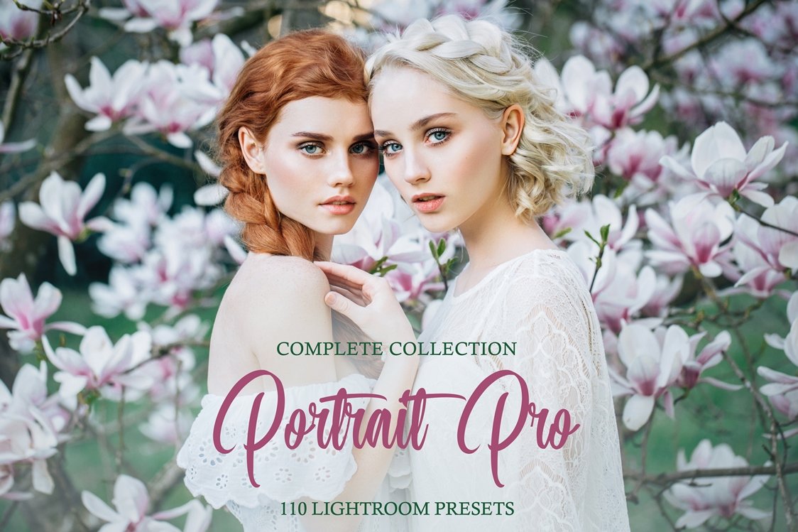 Portrait Pro Complete Collectioncover image.