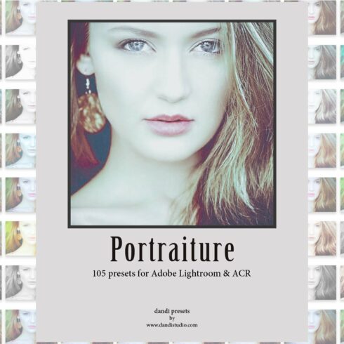 Portraiture Adobe presetscover image.