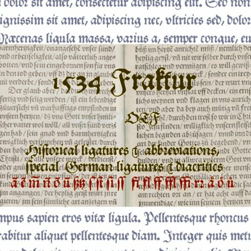 1534 Fraktur OTF cover image.
