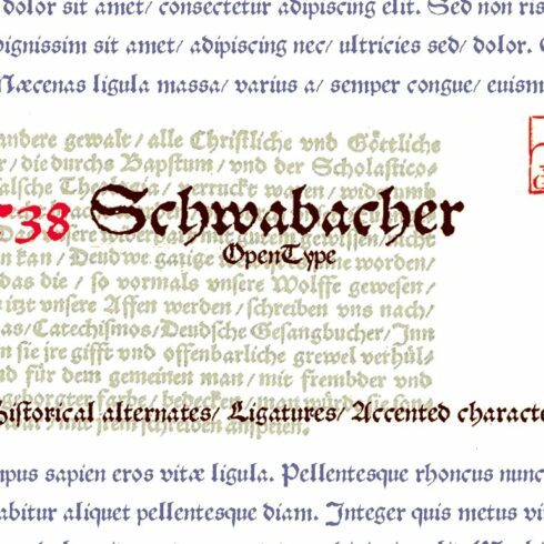 1538 Schwabacher OTF cover image.