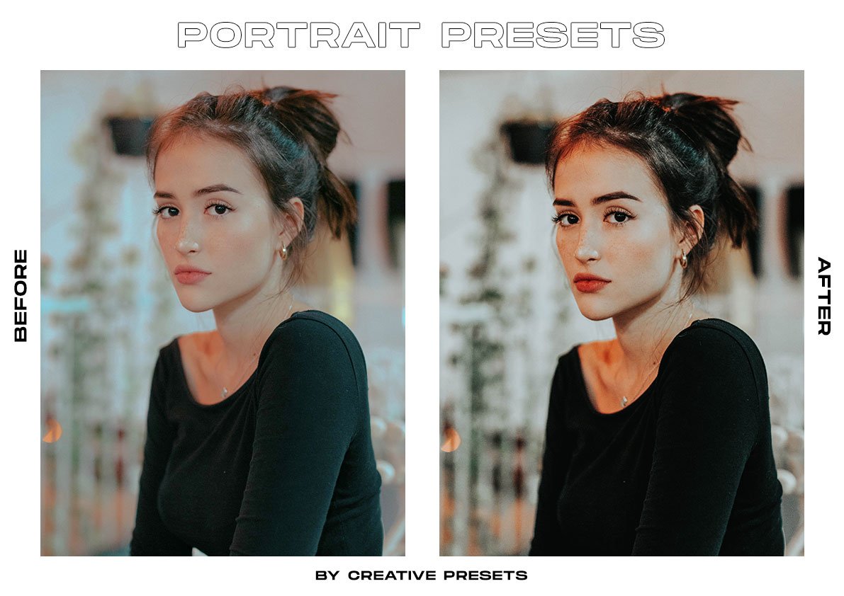 potrait presets lightroom7 804