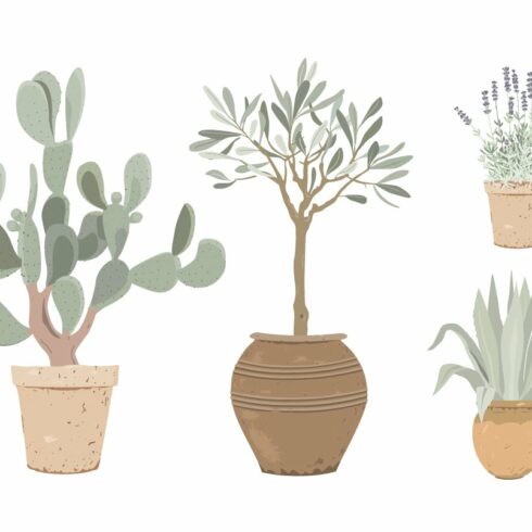 Set of three potted plants in different shapes and sizes.