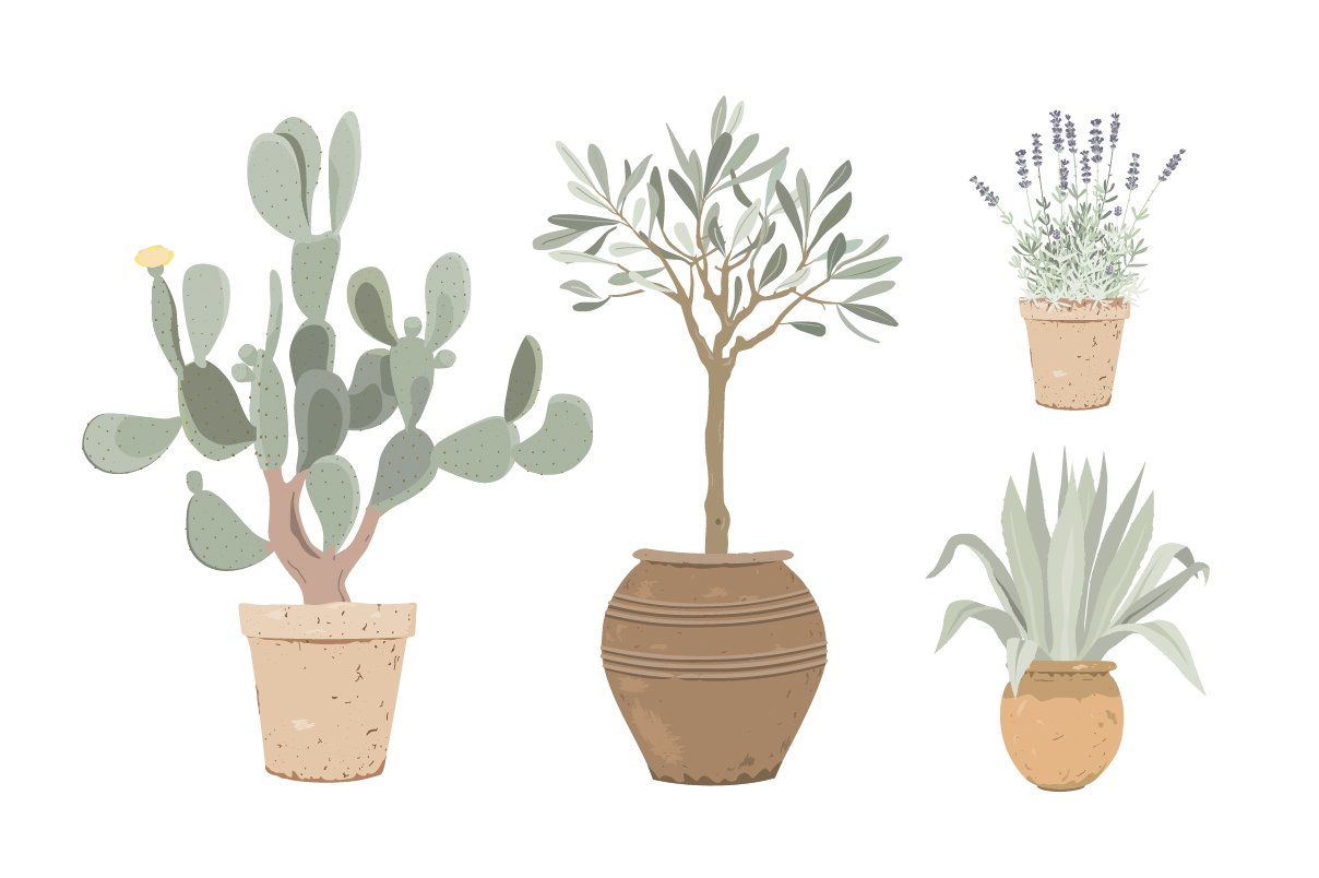 Set of three potted plants in different shapes and sizes.