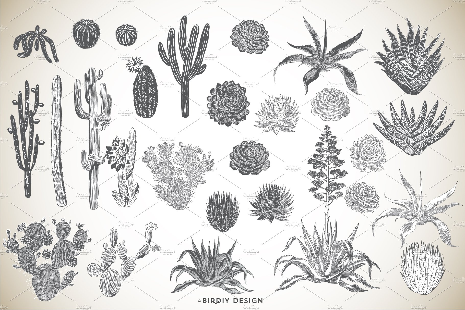 Hand Drawn Succulents & Cacti Set preview image.