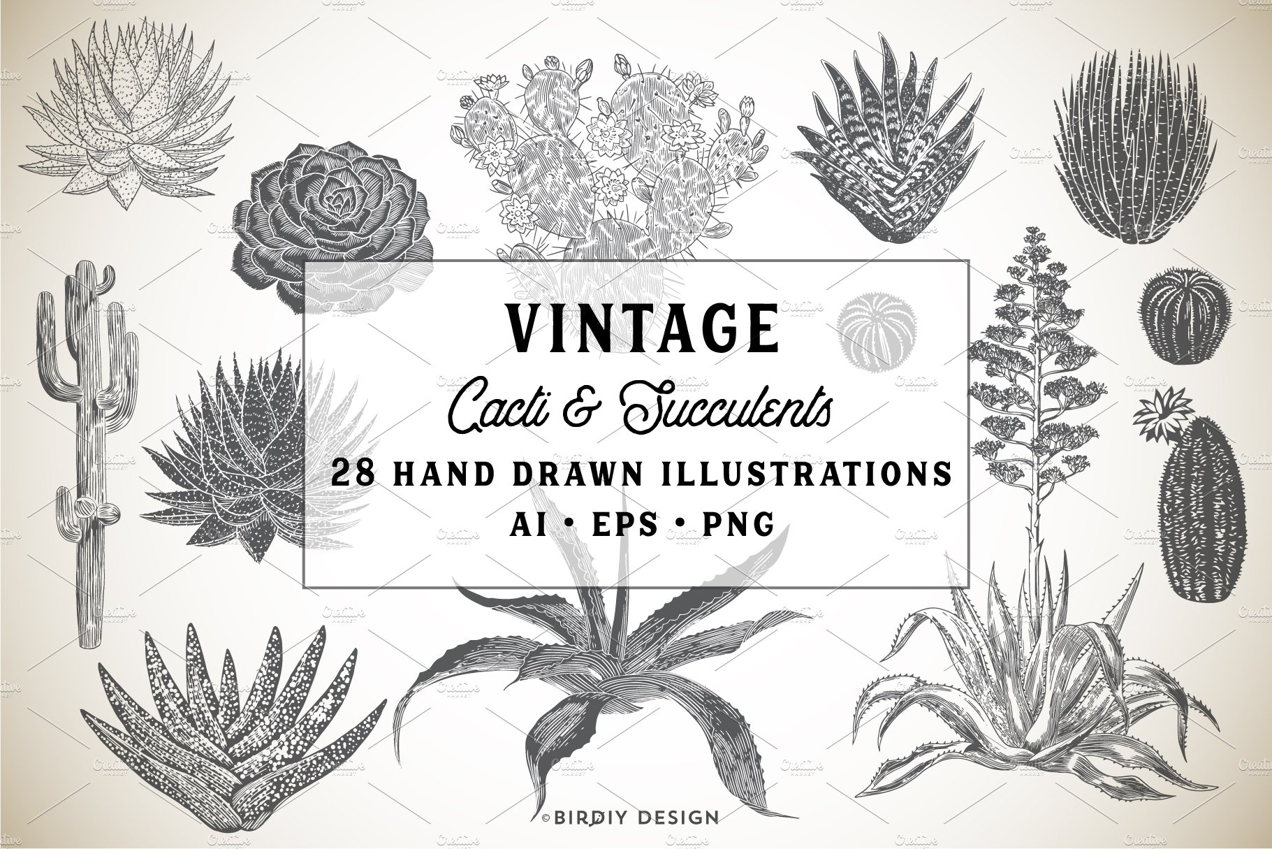 Hand Drawn Succulents & Cacti Set cover image.