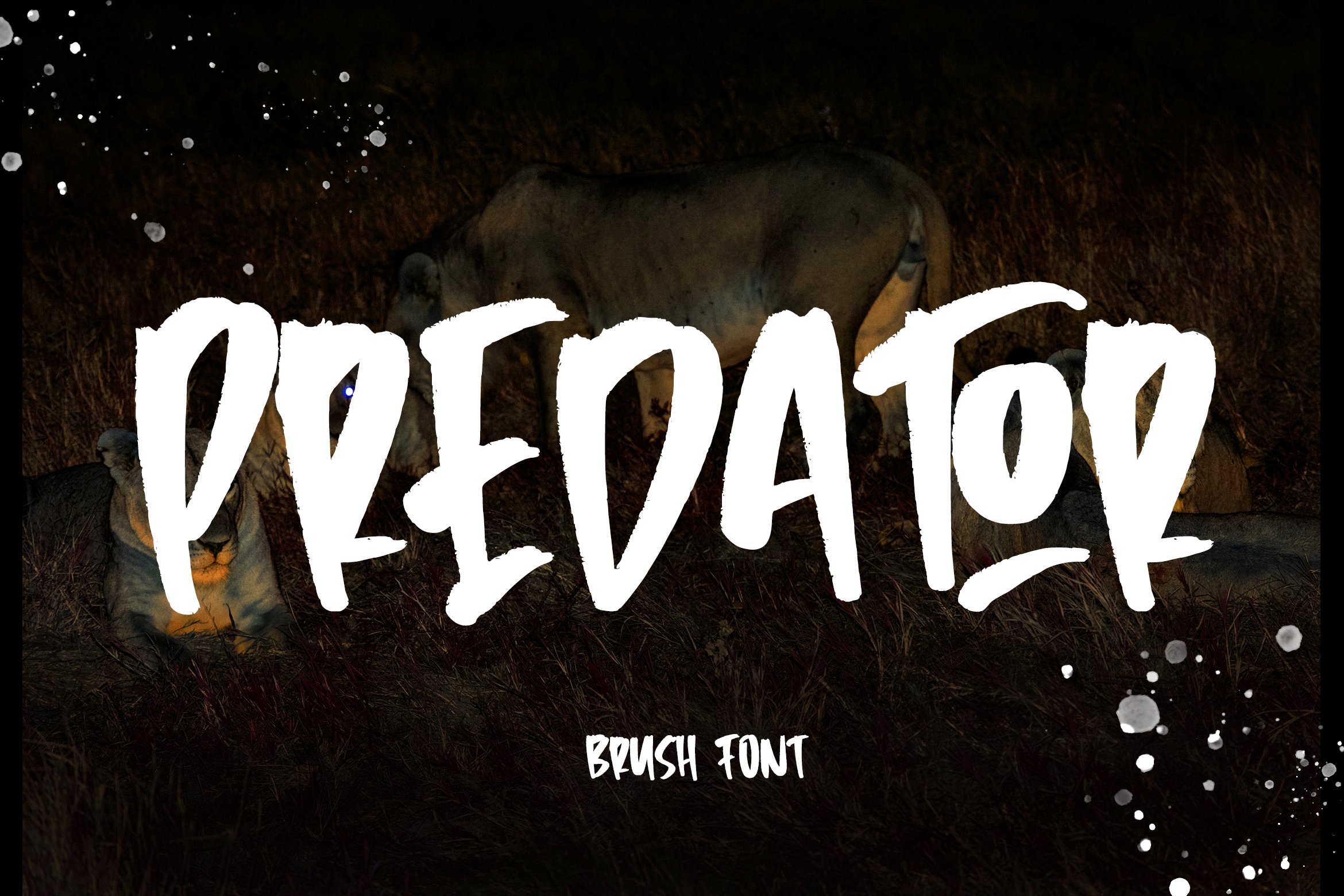 Predator - Brush Font cover image.