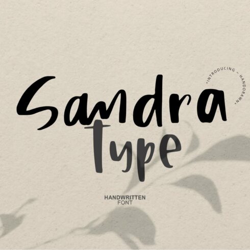 Sandra Type | Handwritten Font cover image.