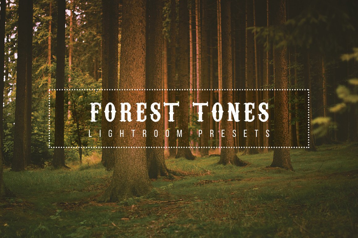 Forest Tone Lightroom Presetscover image.
