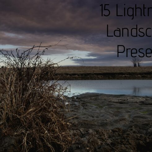 15 Landscape Presetscover image.