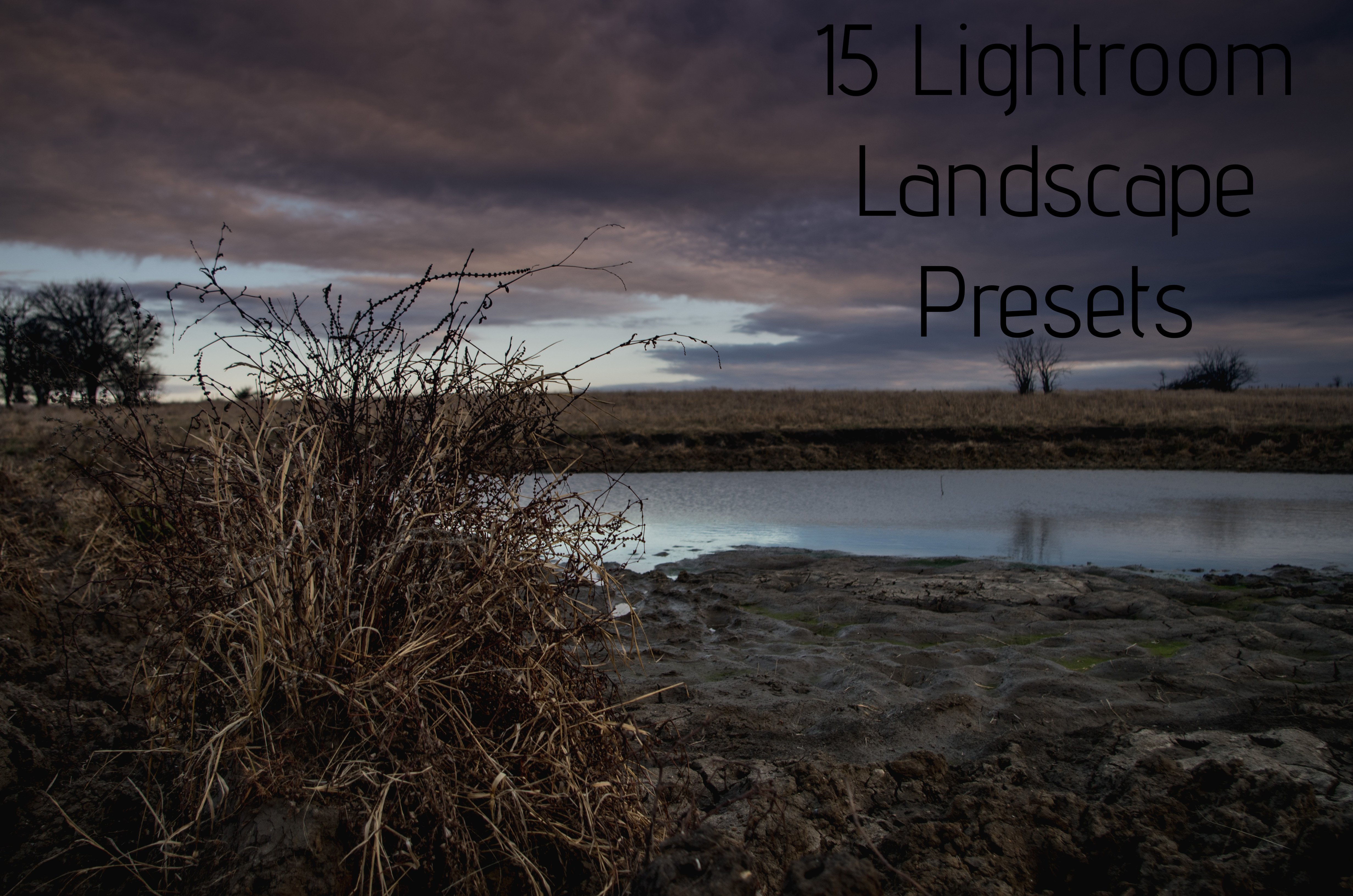 15 Landscape Presetscover image.