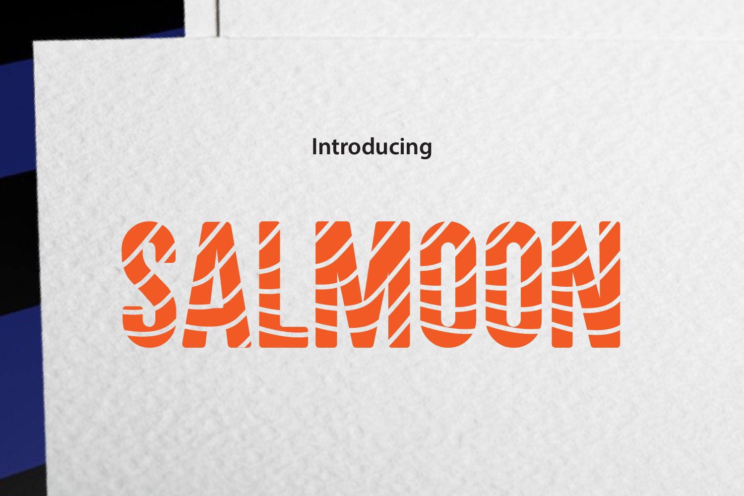 SALMOON cover image.