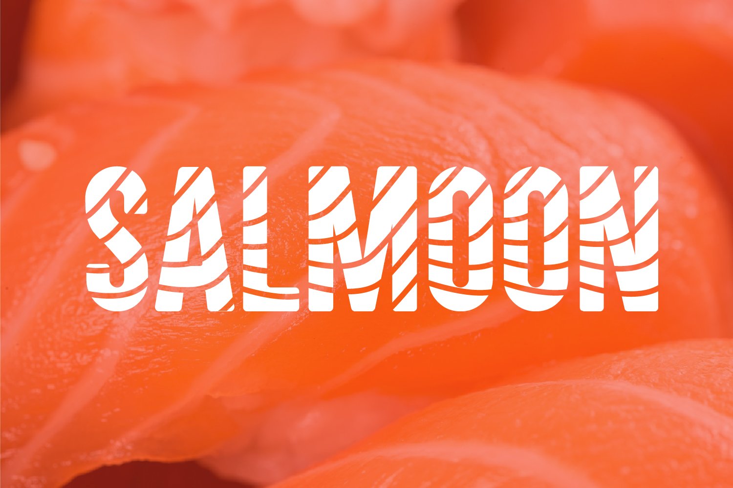 SALMOON preview image.