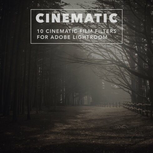 Cinematic Film - Lightroom Presetscover image.