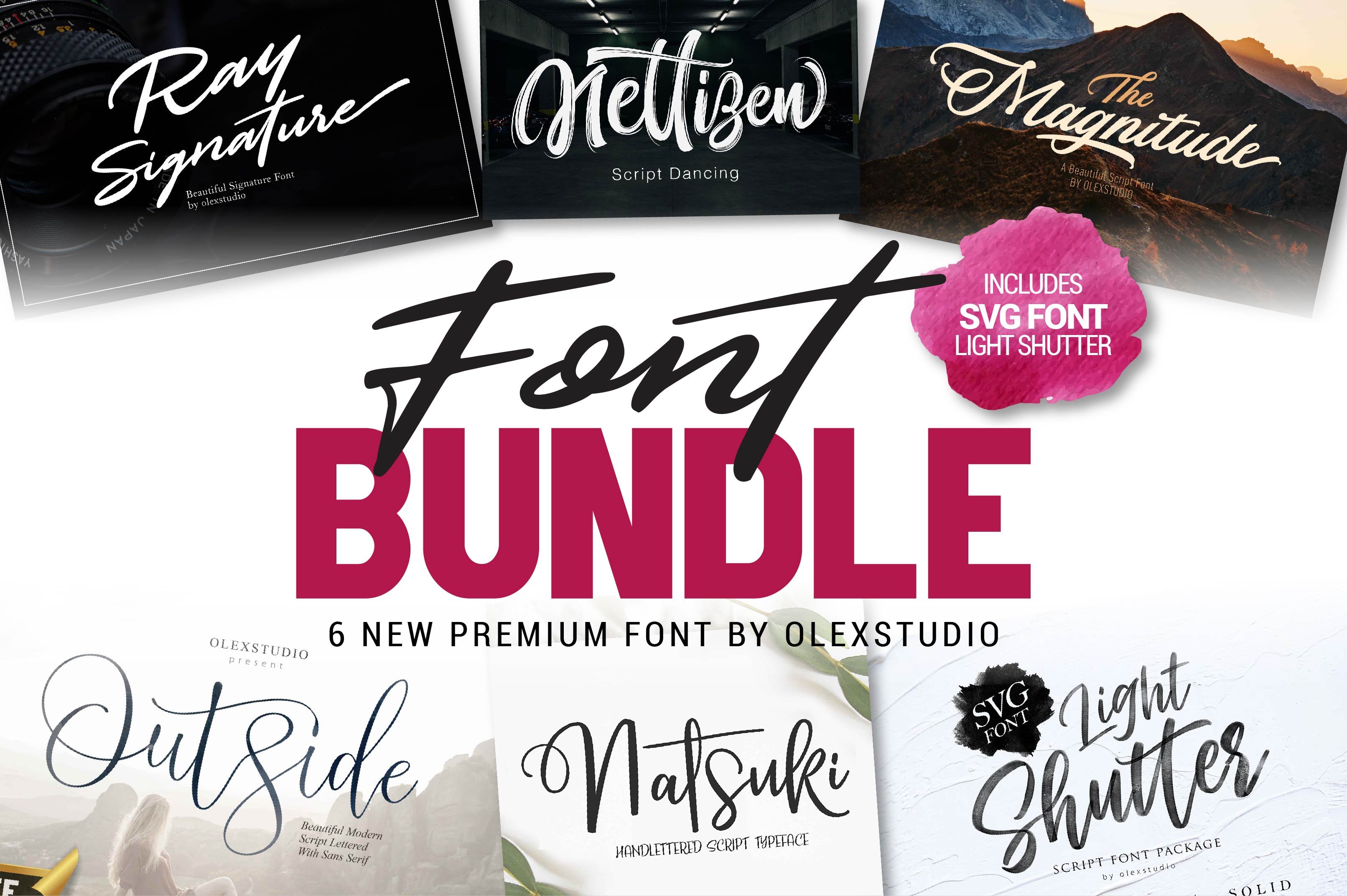 premium FONT BUNDLES cover image.