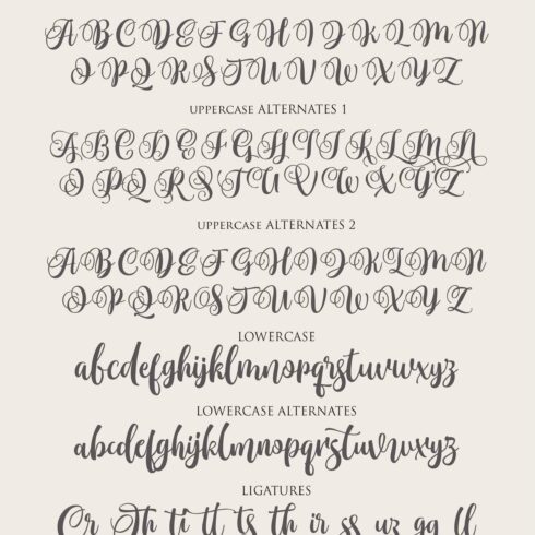 Monttassic - Luxury Script Font cover image.