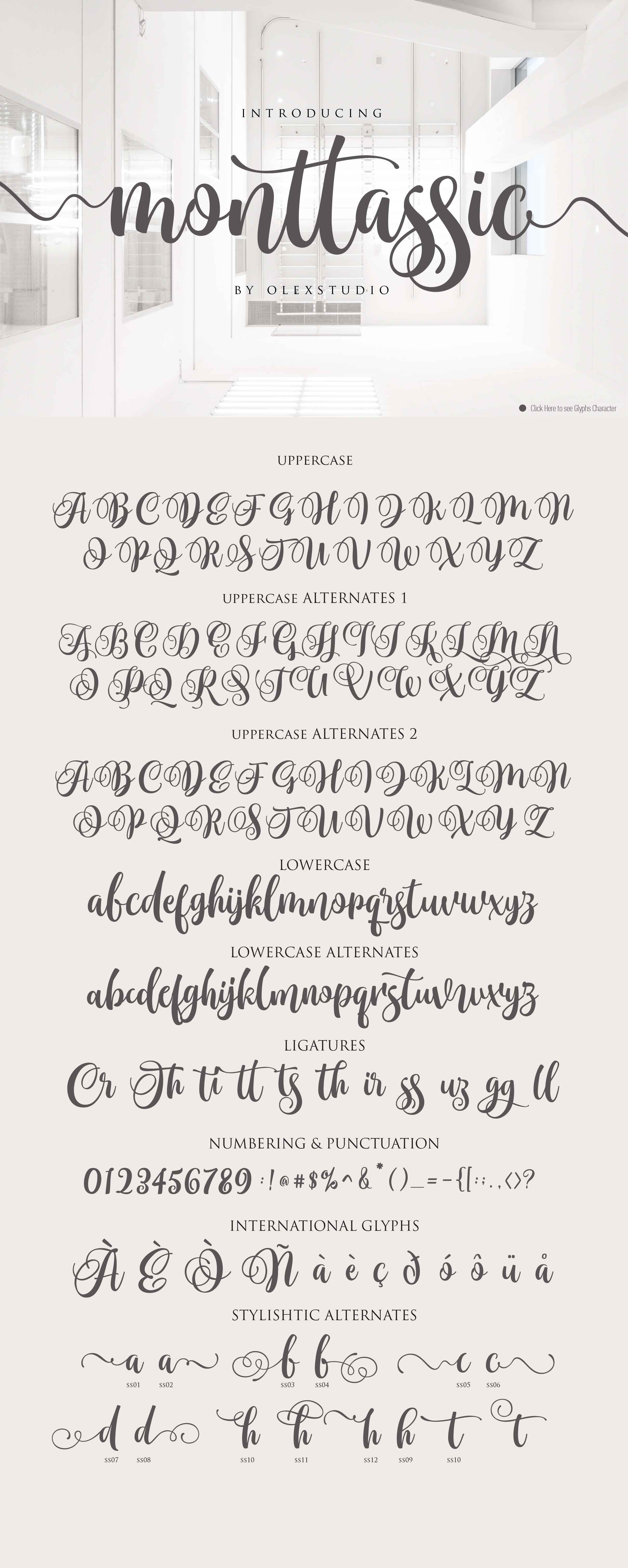 Monttassic - Luxury Script Font cover image.