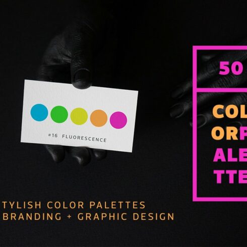 50 Color Palettes for Brandingcover image.