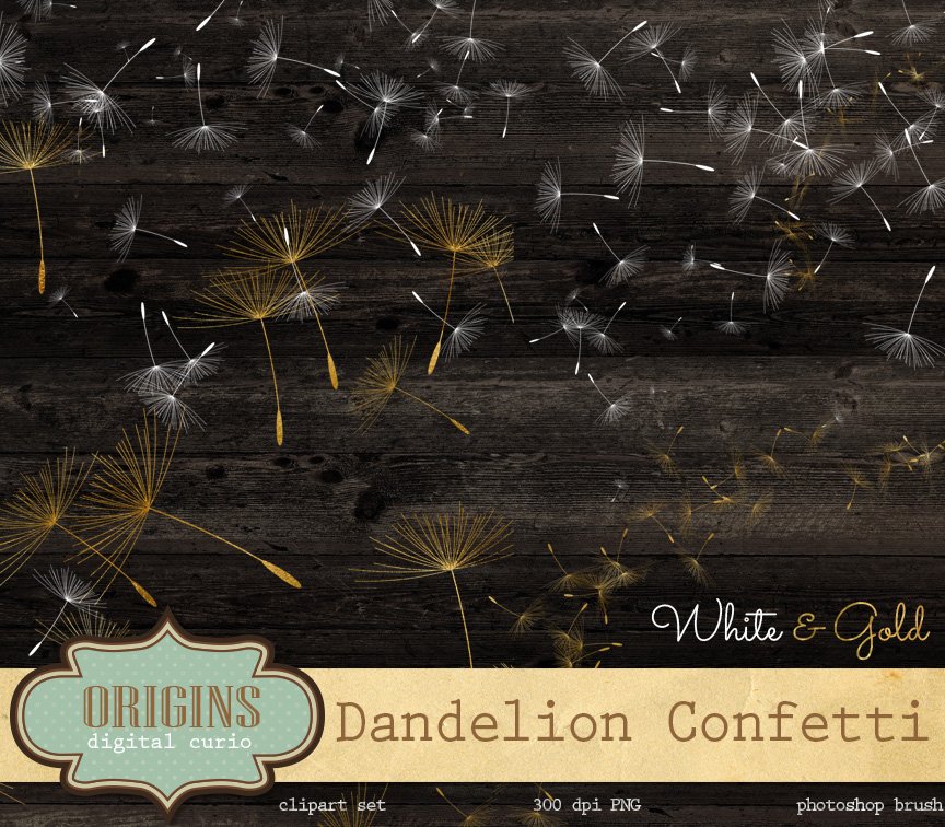 Dandelion Overlays and Brushescover image.