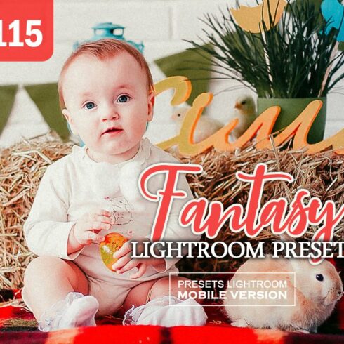 Fantasy Lightroom Mobile Presetscover image.
