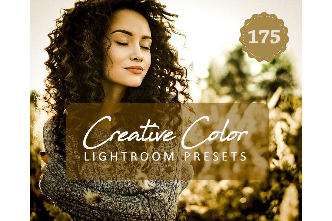 Creative Color Pro Lightroom Presetscover image.