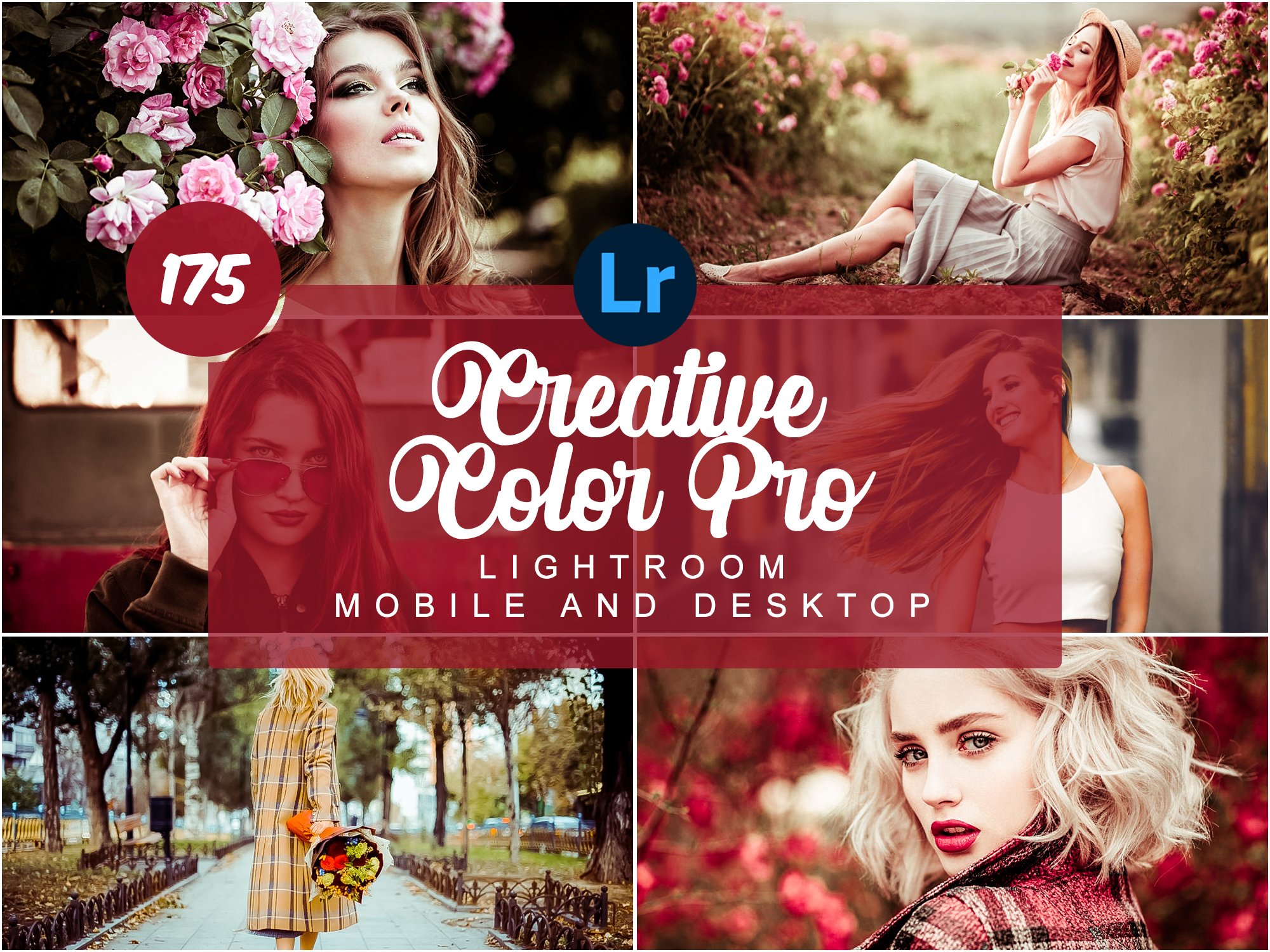 Creative Color Pro PRESETScover image.