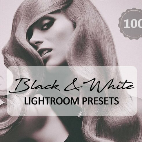 100 Black White Lightroom Presetscover image.