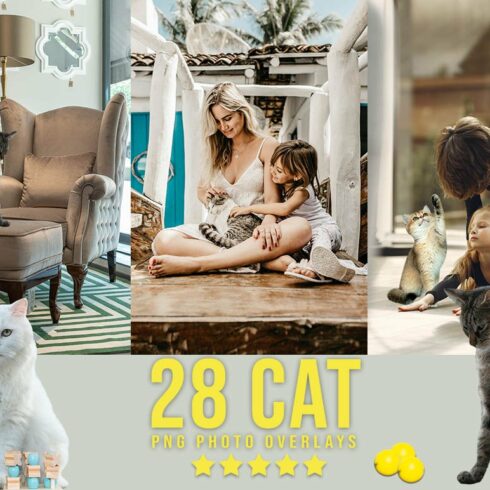 28 Cat Photoshop Overlayscover image.