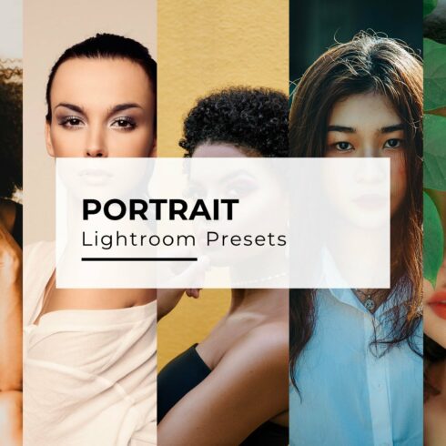 10+ Portrait Lightroom Presetscover image.