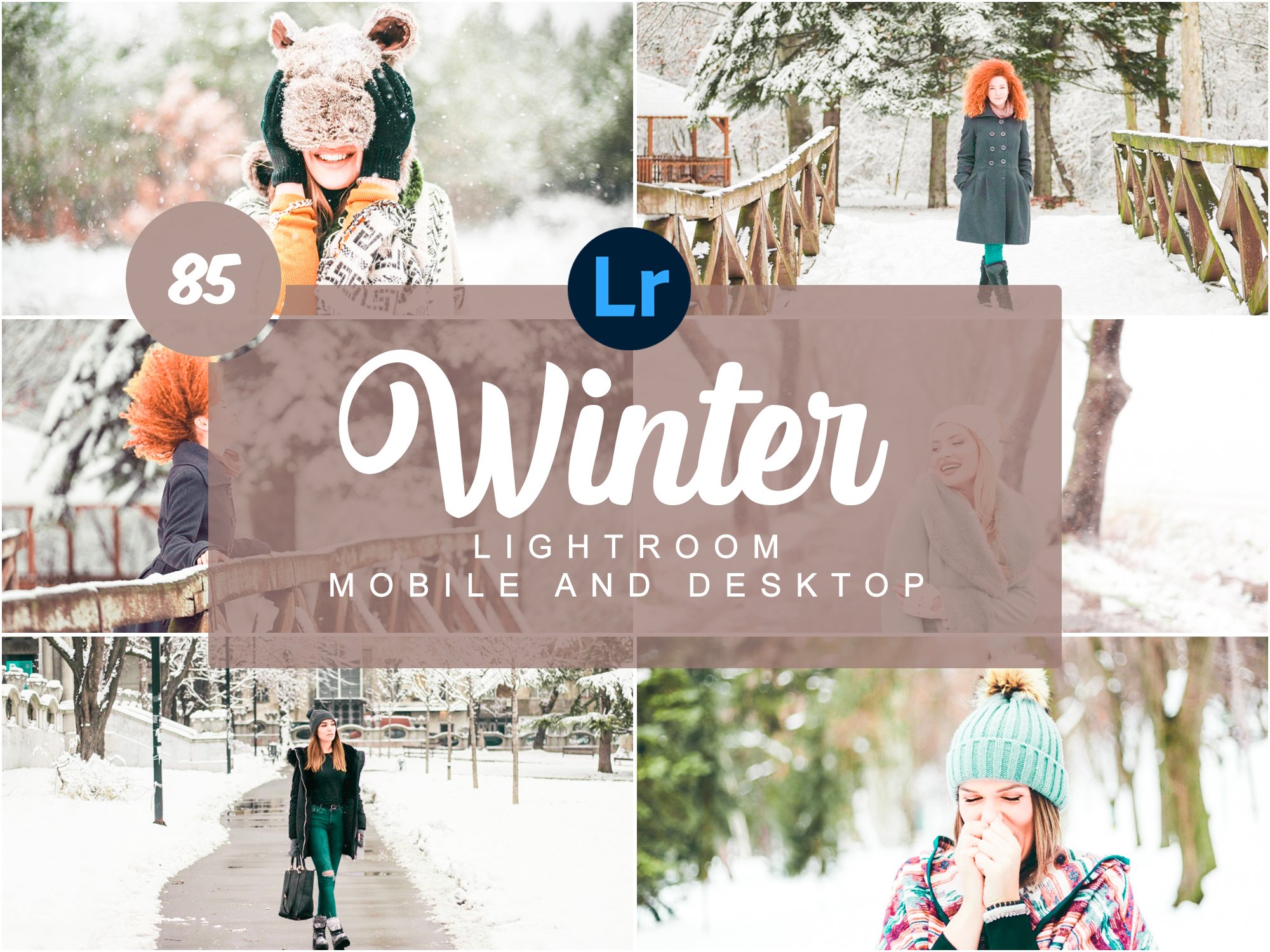 Winter Mobile and Desktop PRESETScover image.