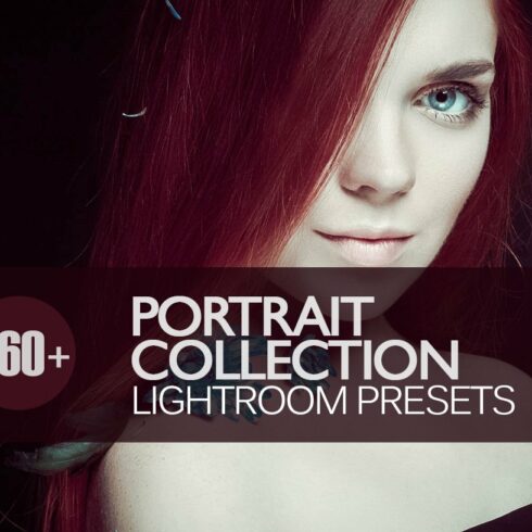 Portrait Collection Lightroom Presetcover image.