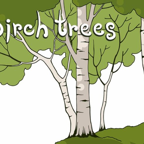 Birch Trees cover image.